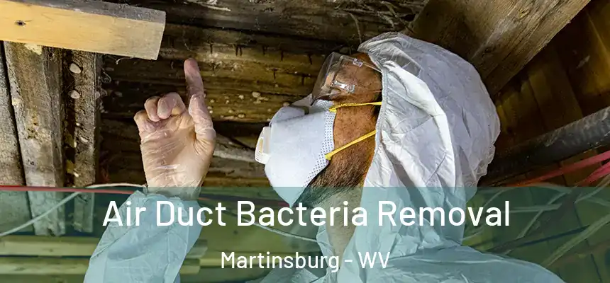  Air Duct Bacteria Removal Martinsburg - WV
