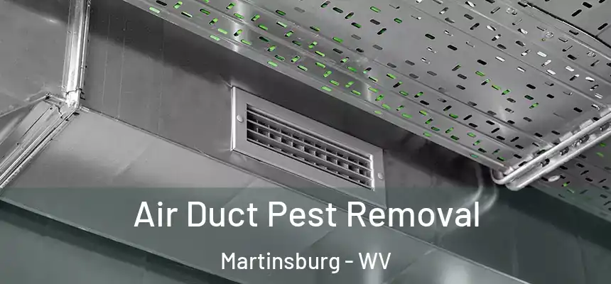  Air Duct Pest Removal Martinsburg - WV