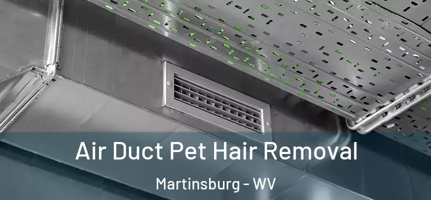  Air Duct Pet Hair Removal Martinsburg - WV