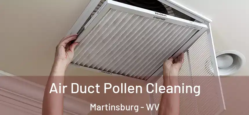  Air Duct Pollen Cleaning Martinsburg - WV