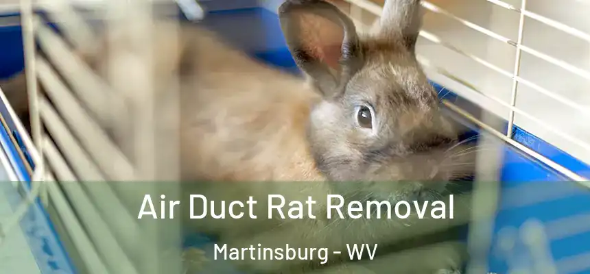  Air Duct Rat Removal Martinsburg - WV