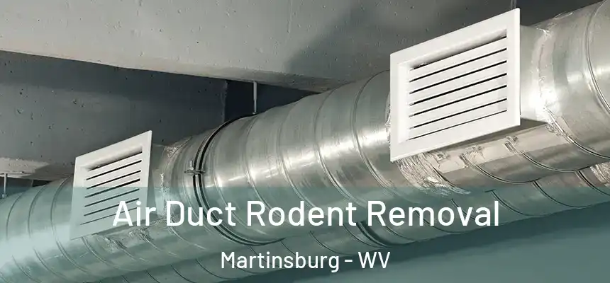  Air Duct Rodent Removal Martinsburg - WV
