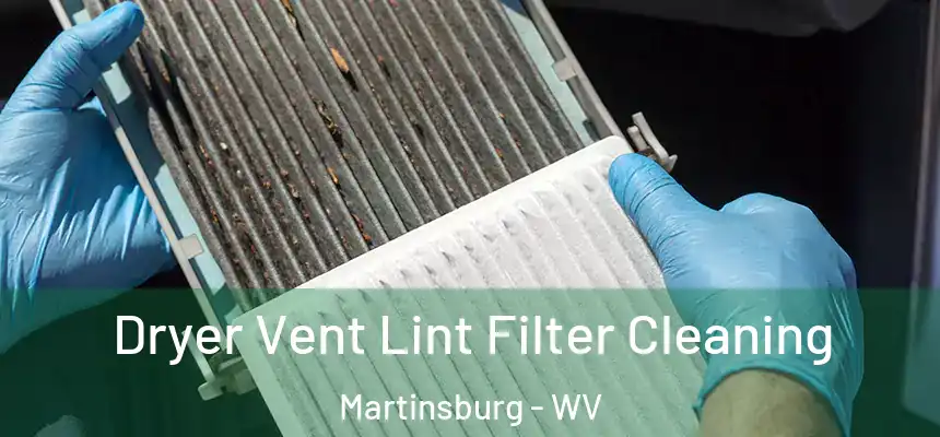  Dryer Vent Lint Filter Cleaning Martinsburg - WV
