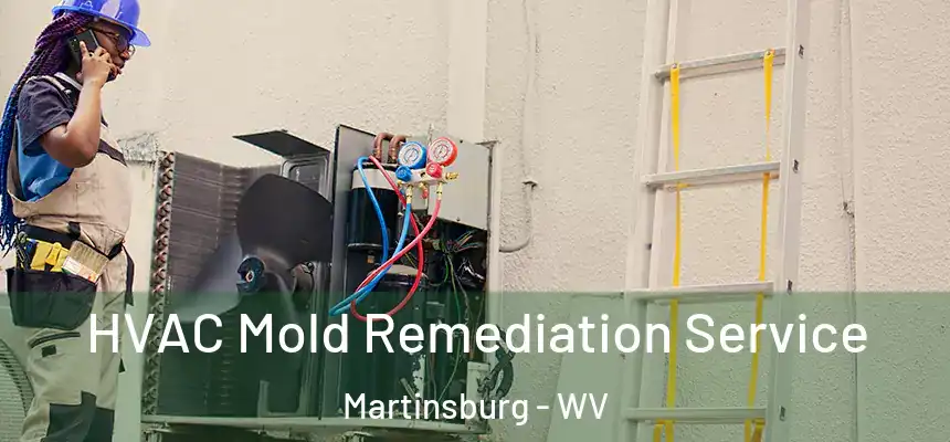  HVAC Mold Remediation Service Martinsburg - WV