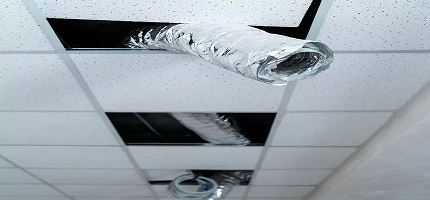 Our Air Duct Pet Hair Removal Services in Martinsburg, WV