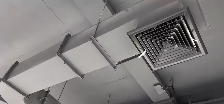 Restorative Allergy Relief Vent Cleaning – Coil, Blower & Housing Detail in Martinsburg