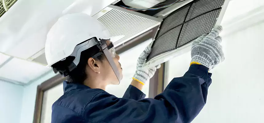 Our Mold & Mildew Removal from Air Ducts Services in Martinsburg, WV