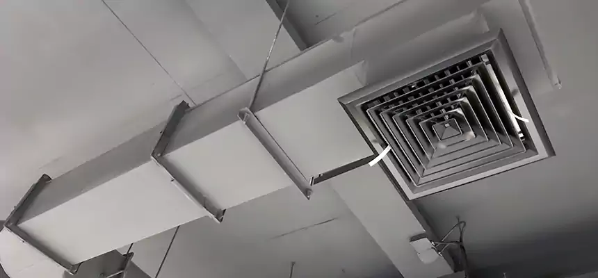 Our Pest Removal From Ducts Services in Martinsburg, WV