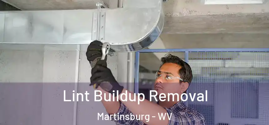  Lint Buildup Removal Martinsburg - WV