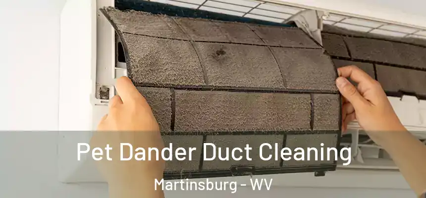  Pet Dander Duct Cleaning Martinsburg - WV