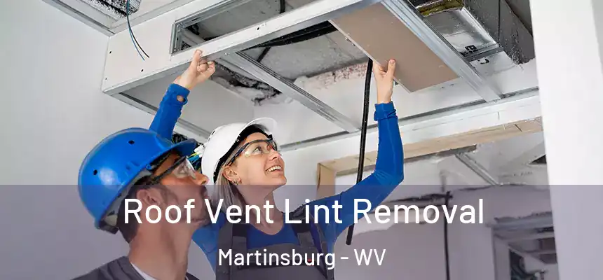  Roof Vent Lint Removal Martinsburg - WV
