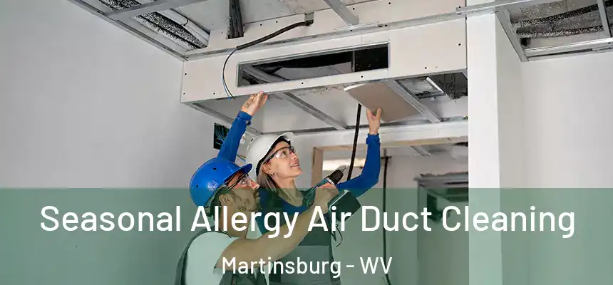  Seasonal Allergy Air Duct Cleaning Martinsburg - WV