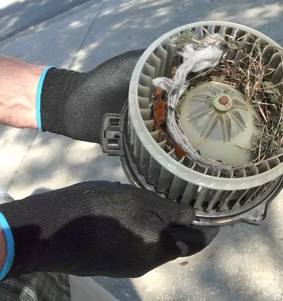 About Air Duct Mice Removal in Martinsburg, WV