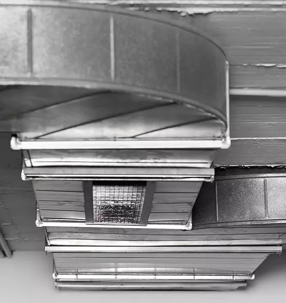 Professional Air Duct Pet Hair Removal in Martinsburg, WV