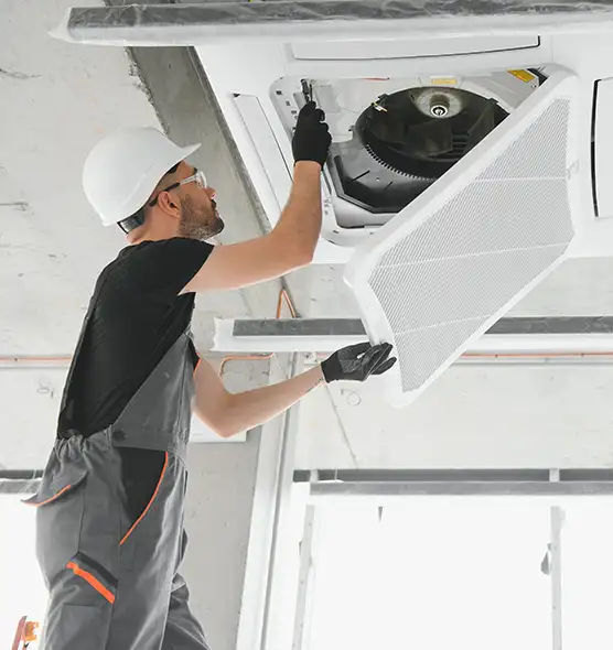 About Air Duct Rodent Removal in Martinsburg, WV