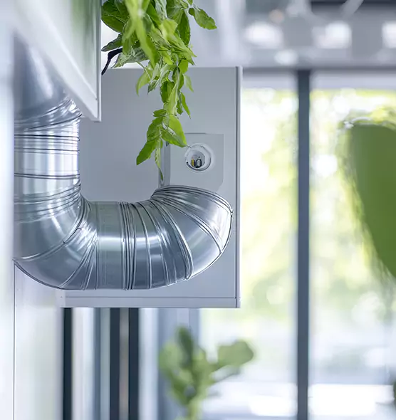 Professional Eco-Friendly Duct Cleaning Services in Martinsburg, WV