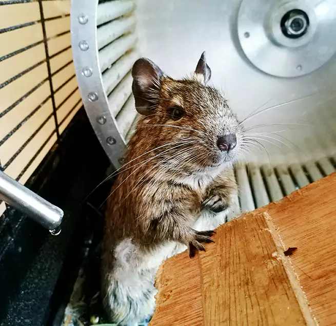 Why Homeowners & Businesses Trust Us Martinsburg, WV?